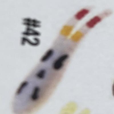 BETTS SPIN W/SPARE BODY 1/32 OZ 1" GRUB WHITE COACH DOG