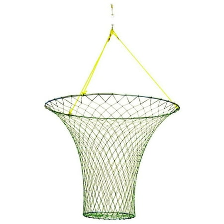 EAGLE CLAW STEEL 2 RING PIER AND BRIDGE SET